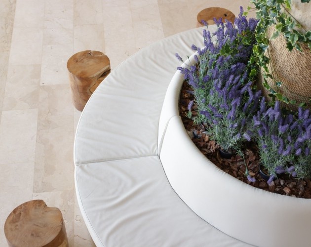 Fergus Club Palmanova Park